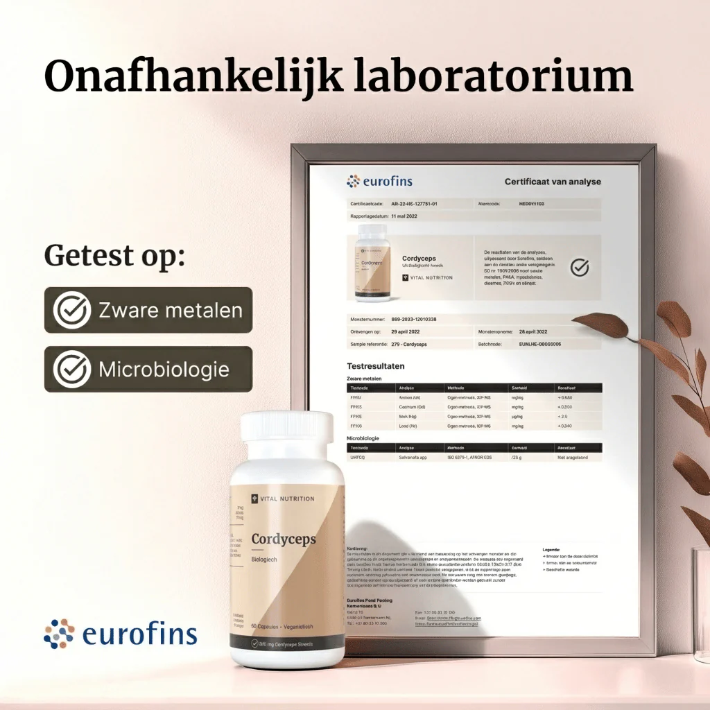 Productafbeelding 4